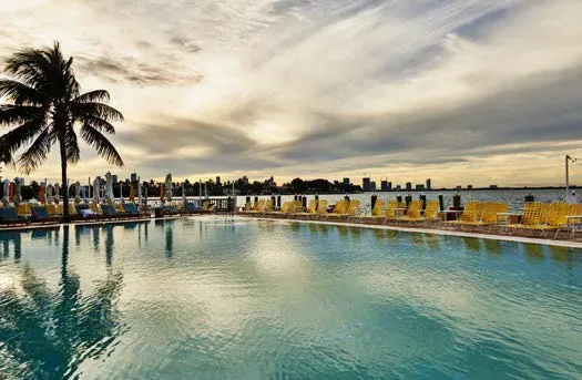 Standard Hotel - piscina