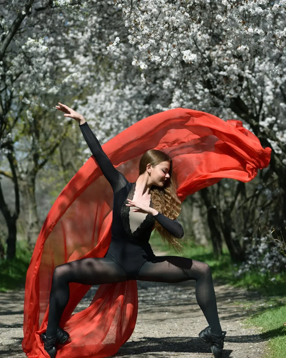 Corina Lupescu